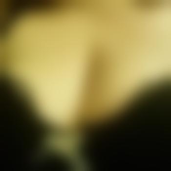 Shadow_74