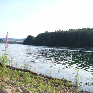 See mit Wald im Sauerland