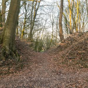 Auf dem Vietberg / Heidenoldendorf