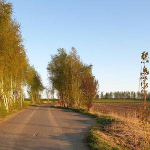 Straße zum Steinbruch Oberschöna