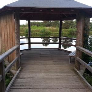 Feuerlöschteich - Angelbecksteich