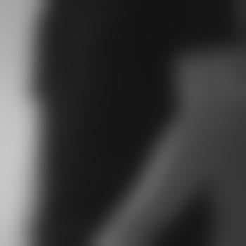 NewBoy-6263