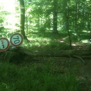 Hözer See bei Magstadt -Büsnau