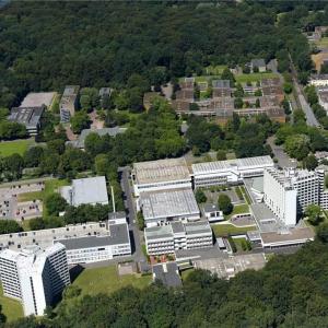 Parkplatz am Rombergpark Sommer ab 22 Uhr.
