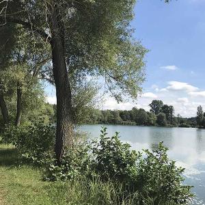Bornbruchsee bei Mörfelden-Walldorf