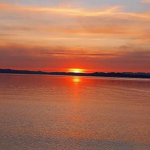 Chiemsee Rottzipf