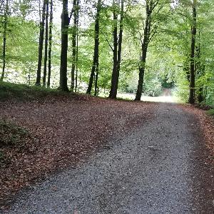 Wanderparkplatz alte Schienerbergstraße