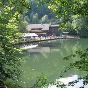 Isenach Weiher ca 10 Minuten von DÜW