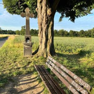 Bonn Beuel Nähe Kläranlage