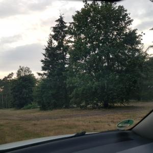 Heidesee
