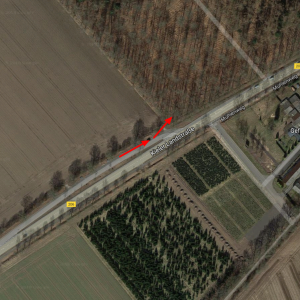 B206 Hohenlockstedt beim Geflügelhof