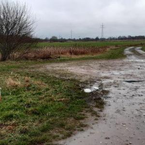 Sauteler Weg