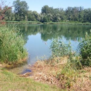Bachgrundsee zwischen Hügelsheim und Rheinmünster