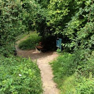 Pfingstbrunnen Friedberg