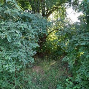 Schnega am Bahnhof Gleis 1 und 2
