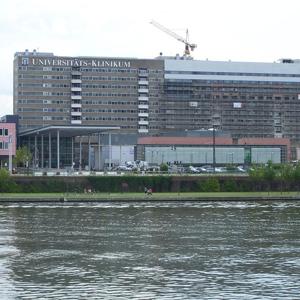 Mainufer Frankfurt