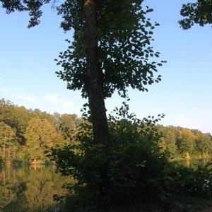 Oberer Seewaldsee Horrheim
