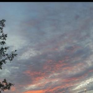 A59 richtung Düsseldorf nach Köln