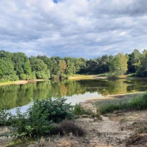 Wachendorfer See (49809)