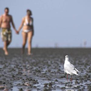 Kontakte im nördlichen Niedersachsen