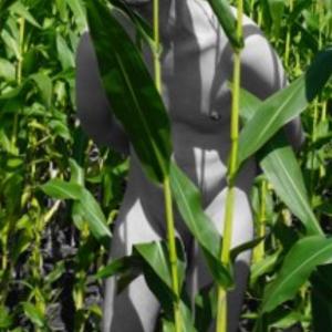 Wer möchte auch ein Akt Shooting haben?