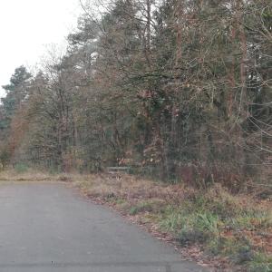 Parkplatz zwischen Bohmte und Levern