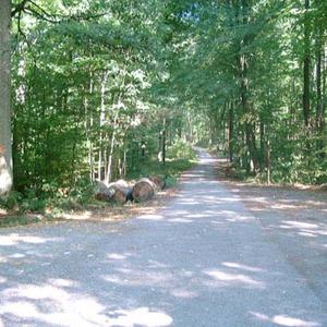 A24 Bandenitz