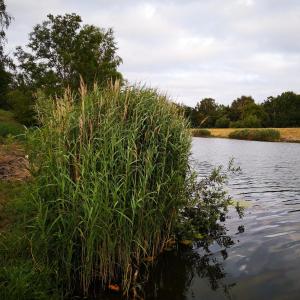 Dölzig Fkk-Badespaß am Kanal:-)