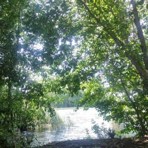 Tonteiche / Tonsee Bestensee