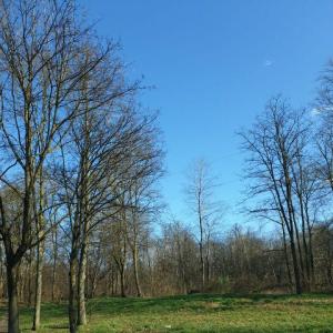 Sex und Erotik im Main-Kinzig-Kreis