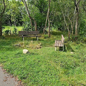 Spaß im Wald
