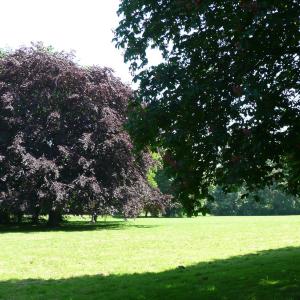 Park am Permoser Eck