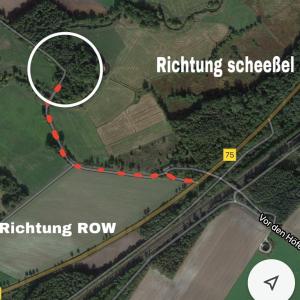 Wald zwischen ROW und Scheeßel