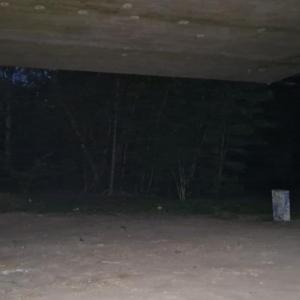 Kiel Meimersdorfer Moor