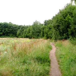 A480 – Autobahnparkplatz Silbersee