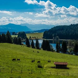 Eschacher Weiher