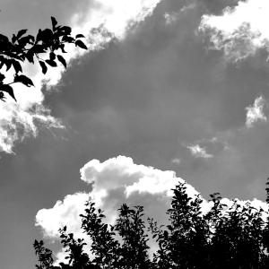 Sextreffen im Raum Schmalkalden-Meininge