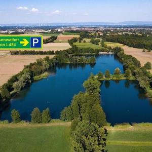 Niederwiesenweiher Böhl-Iggelheim/Schifferstadt