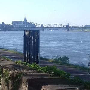 Rheinauhafen