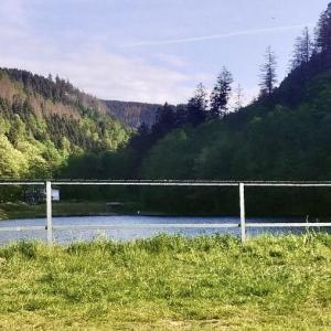 Herzberger Teich