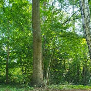 Outdoor im Kreis Pinneberg