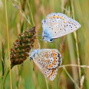 N A T U R f o t o g r a f i e