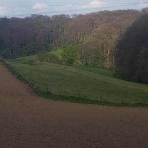 Bauhaus Düsseldorf Gerresheim