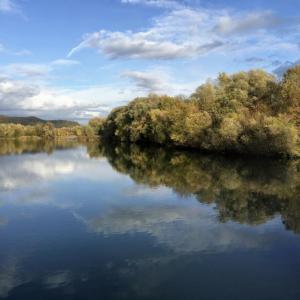 Hirschauer See