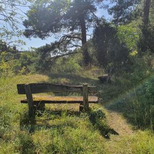Wanderparkplatz zwischen Dollendorf und Ripsdorf
