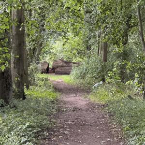 Delmegrundsee (Milli)