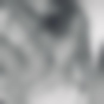 Bodytalker666
