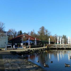 Parkplatz am Hariksee