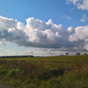 Sandersdorf (Dreieckgrube) nähe A9