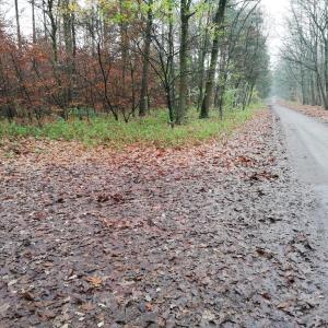 Waldparkplatz Lohne